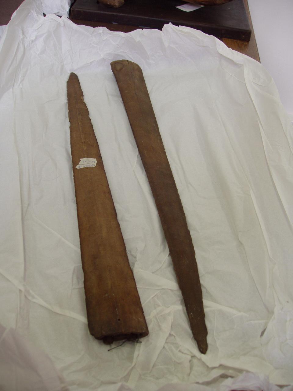 Rostro di Xiphias gladius (Linnaeus, 1758) (rostro) - n.d. (n.d.)