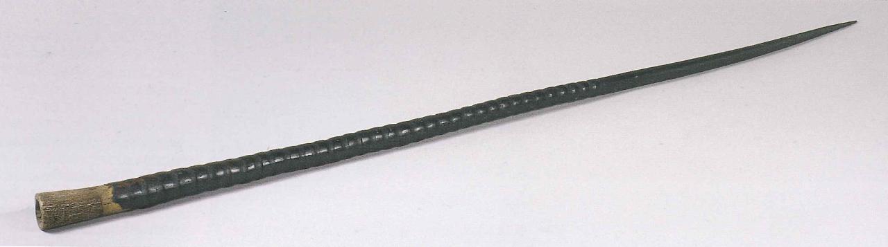 Corna di Oryx sp. (corno) - n.d. (n.d.)