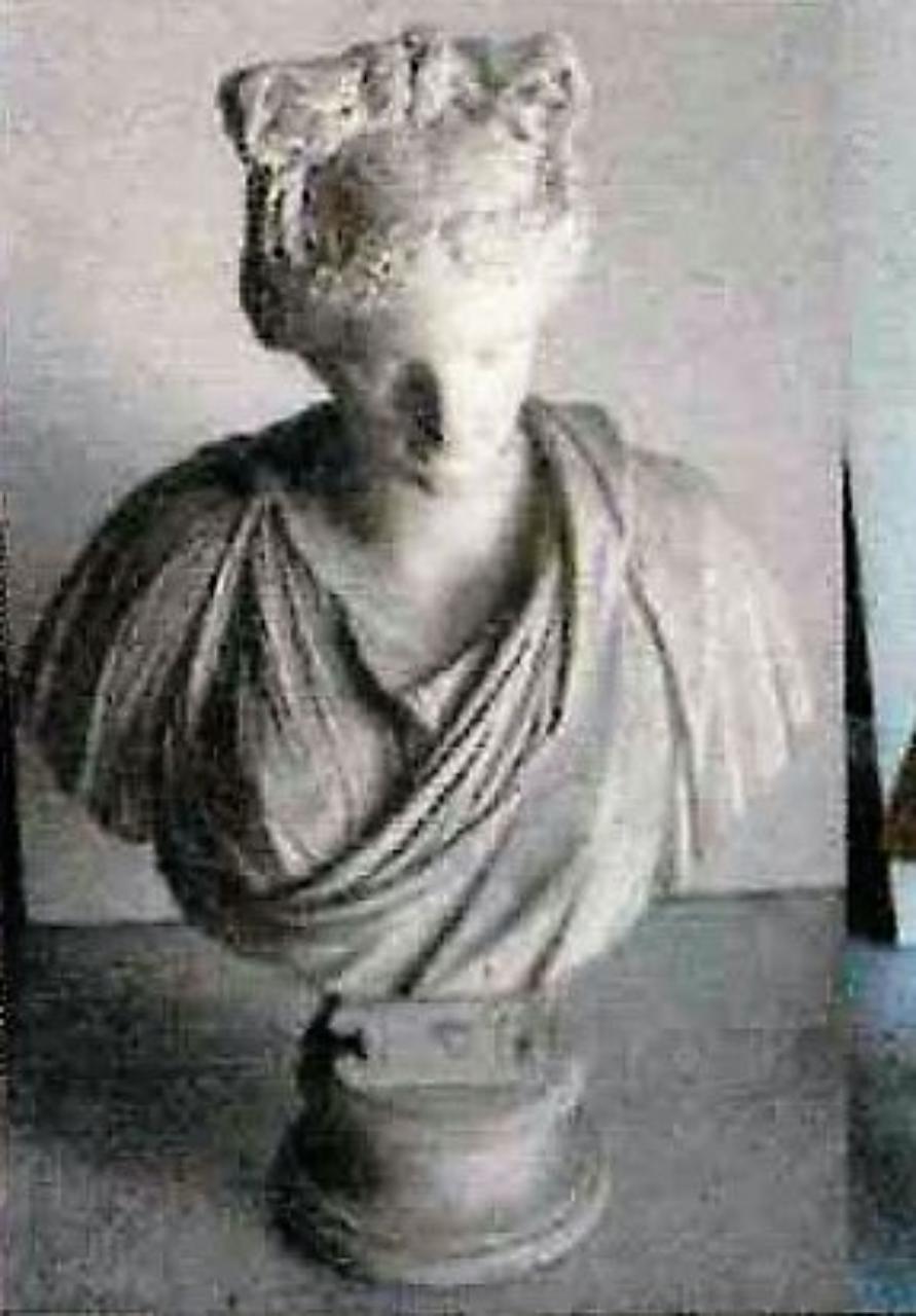 Busto di Venere (?), divinità femminile (busto) (sec. XVIII)
