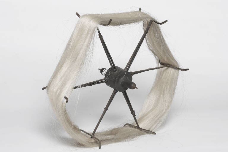 aspino (secc. XIX seconda metà-XX inizio)