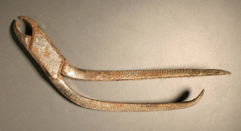 pinza a granchio (sec. XIX)