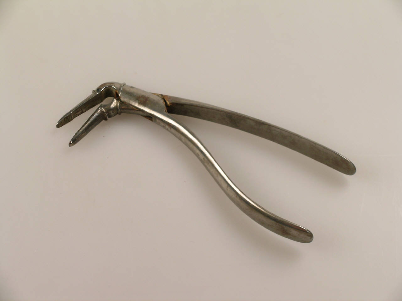 Pinza di Malliard Joseph||Brambilla Giovanni Alessandro (seconda metà sec. XVIII)