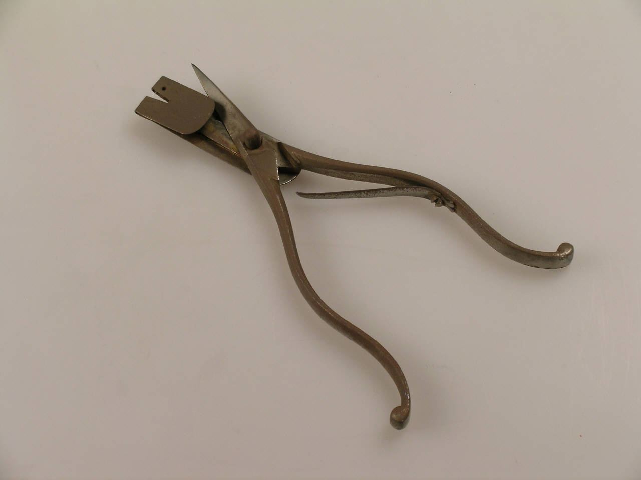 Ancylotomo di Malliard Joseph||Brambilla Giovanni Alessandro (seconda metà sec. XVIII)