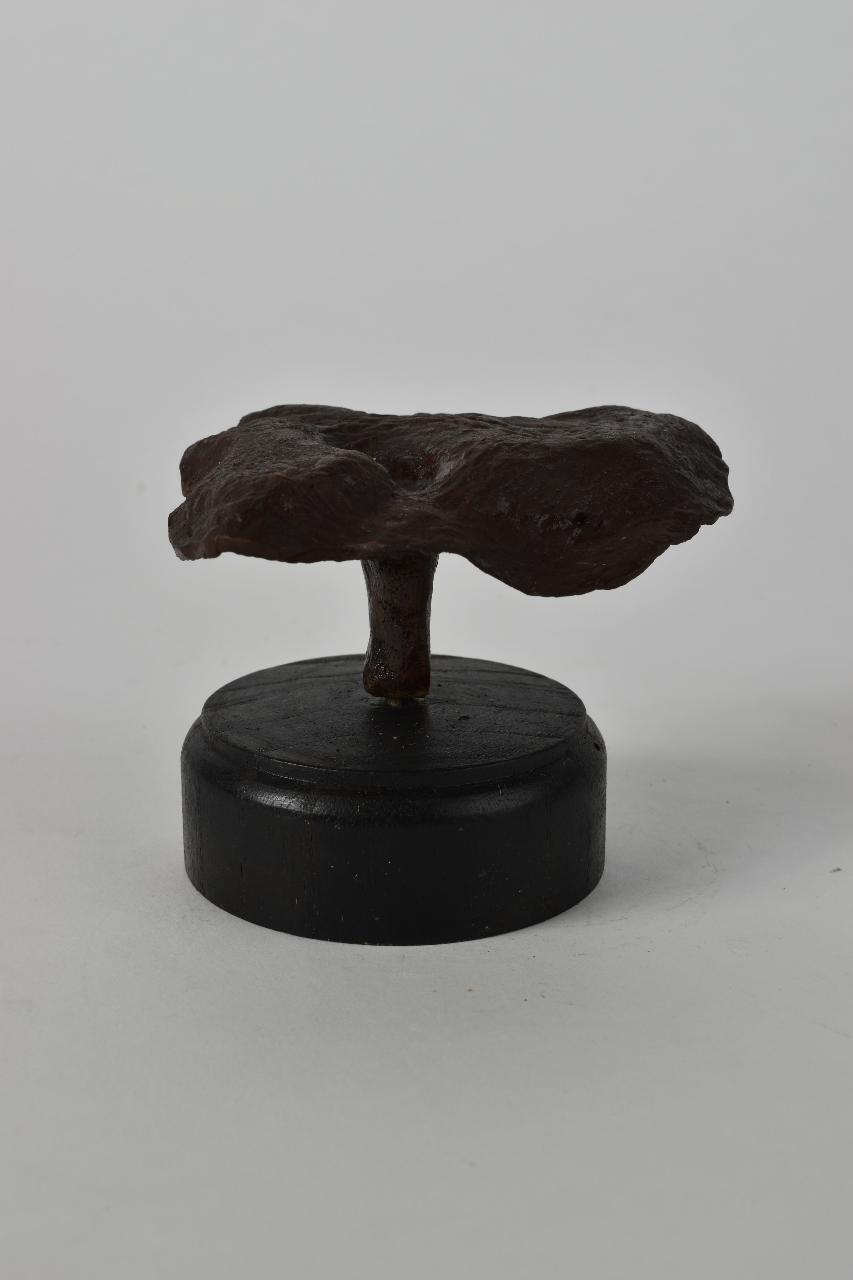 Modello di Maestri, Angelo - produzione ceroplastica ottocentesca (sec. XIX)