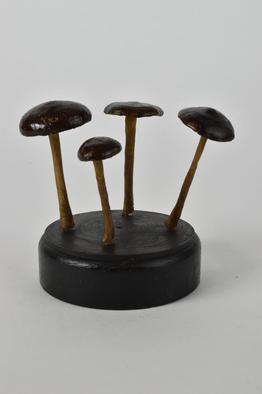 Modello di Maestri, Angelo - produzione ceroplastica ottocentesca (sec. XIX)
