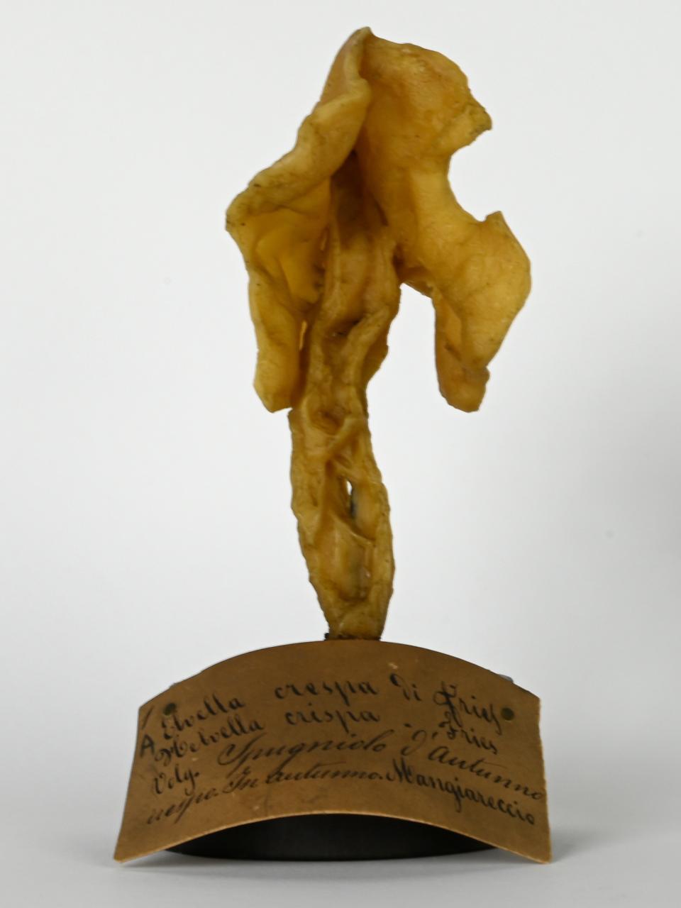 Modello di Maestri, Angelo - produzione ceroplastica ottocentesca (sec. XIX)