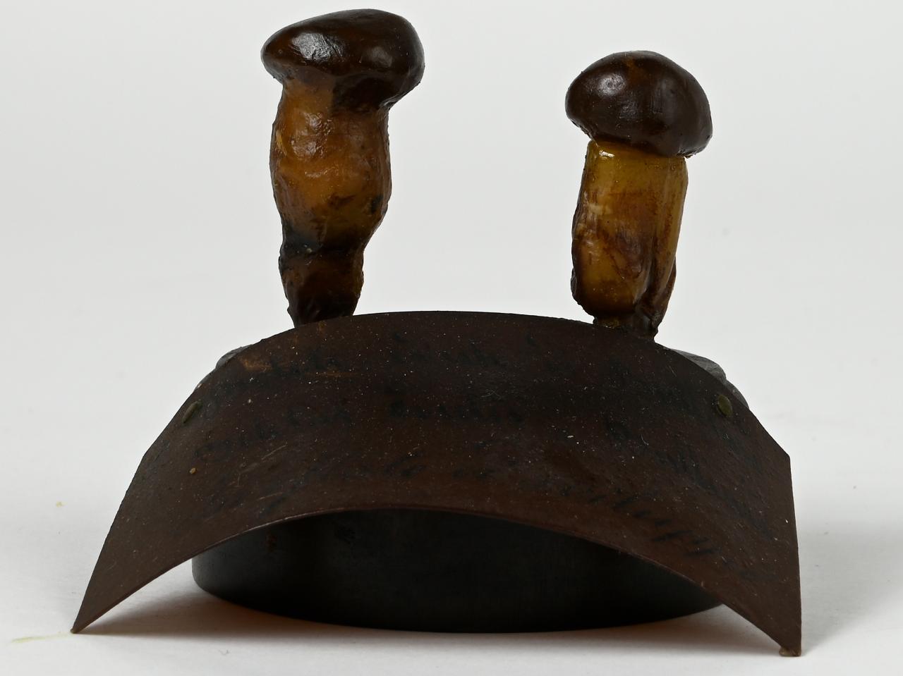 Modello di Maestri, Angelo - produzione ceroplastica ottocentesca (sec. XIX)