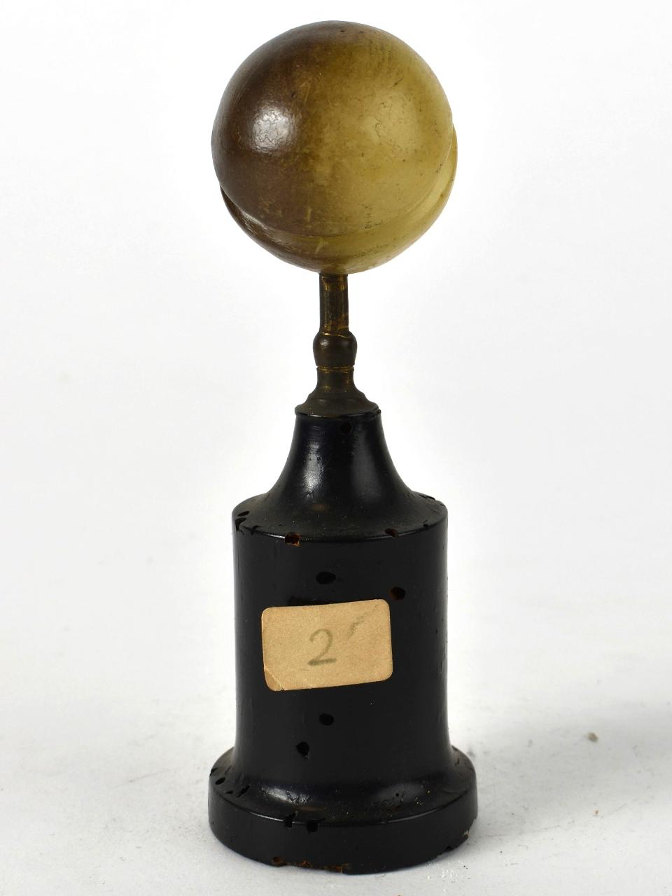 Modello di Laboratorio Ziegler - produzione ceroplastica ottocentesca (sec. XIX)