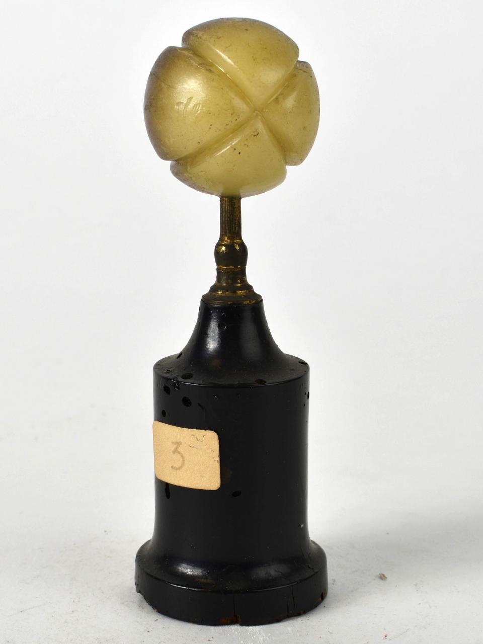 Modello di Laboratorio Ziegler - produzione ceroplastica ottocentesca (sec. XIX)