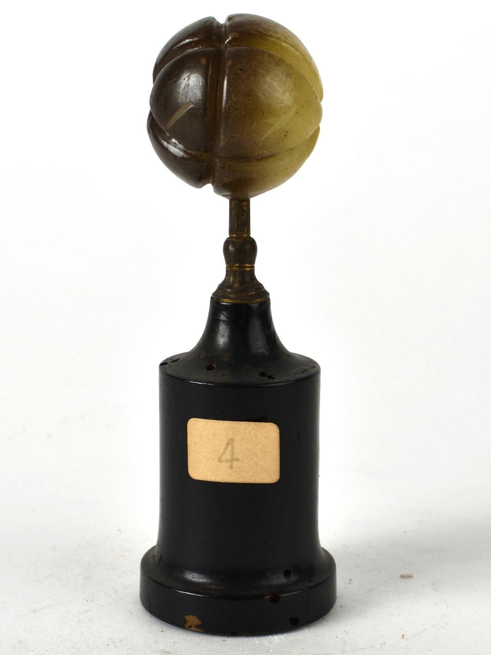 Modello di Laboratorio Ziegler - produzione ceroplastica ottocentesca (sec. XIX)