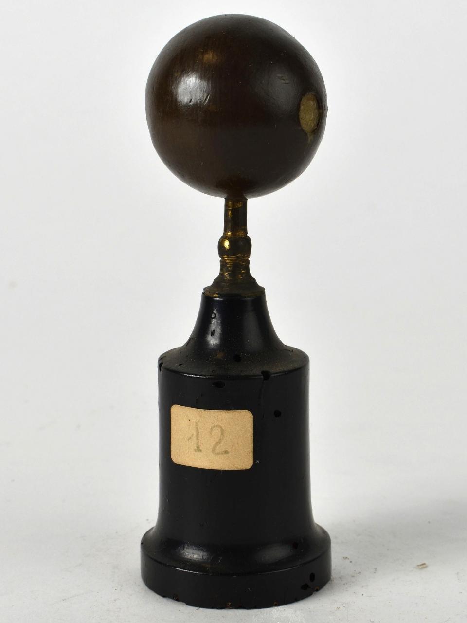 Modello di Laboratorio Ziegler - produzione ceroplastica ottocentesca (sec. XIX)