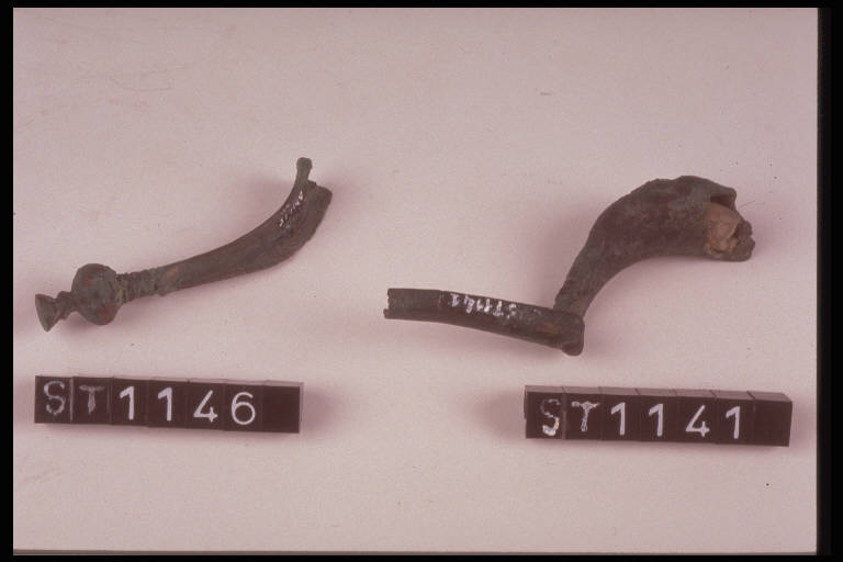 fibula a sanguisuga - cultura di Golasecca (terzo quarto sec. VI a.C.)