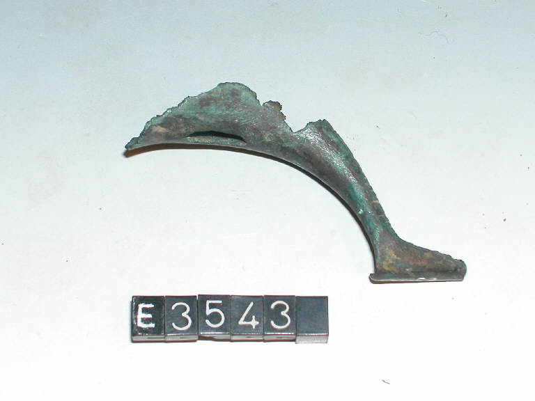 fibula a sanguisuga - cultura di Golasecca (terzo quarto sec. VI a.C.)