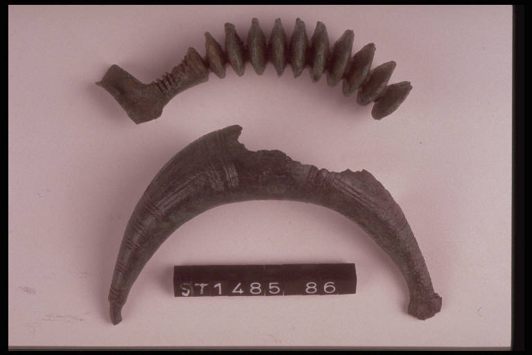 fibula a sanguisuga - cultura di Golasecca (fine/inizio secc. VI/ V a.C.)