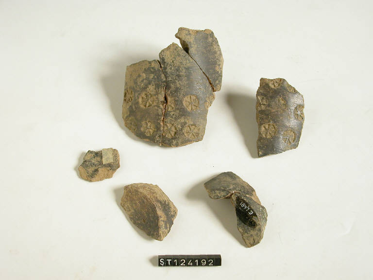 vaso situliforme - cultura di Golasecca (fine/inizio secc. VI/ V a.C.)