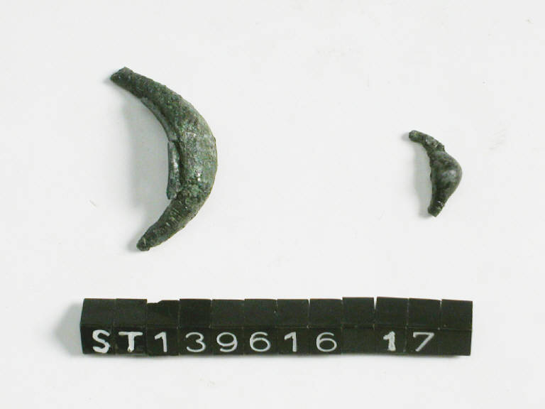 fibula a sanguisuga - cultura di Golasecca (fine/inizio secc. VI/ V a.C.)