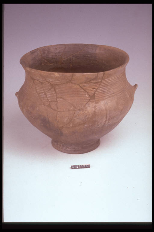 urna biconica - cultura di Golasecca (sec. IX a.C.)