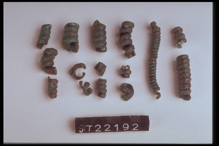 saltaleoni - cultura di Golasecca (sec. IX a.C.)