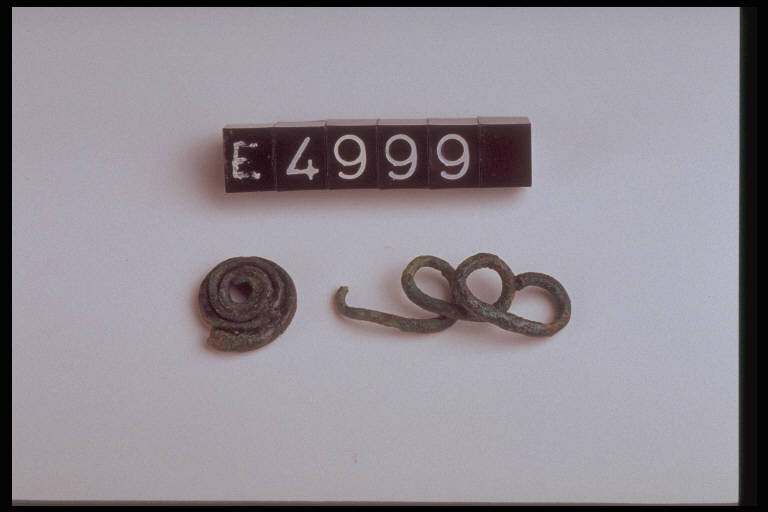 saltaleoni - cultura di Golasecca (sec. IX a.C.)