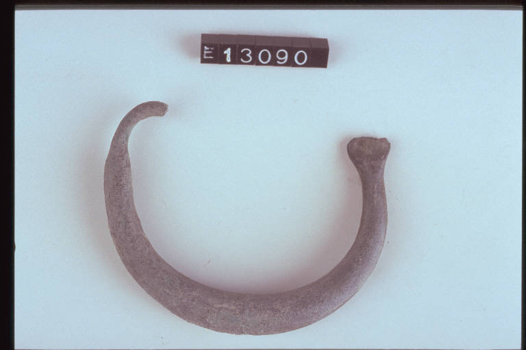 fibula ad arco ingrossato - cultura di Golasecca (sec. IX a.C.)