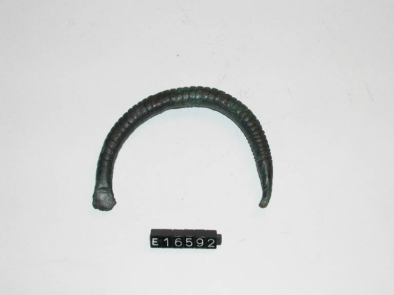 fibula ad arco ingrossato - cultura di Golasecca (sec. IX a.C.)