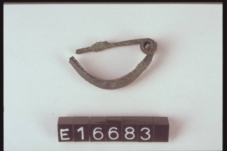 fibula ad arco pieno - cultura di Golasecca (secc. VI/ V a.C.)