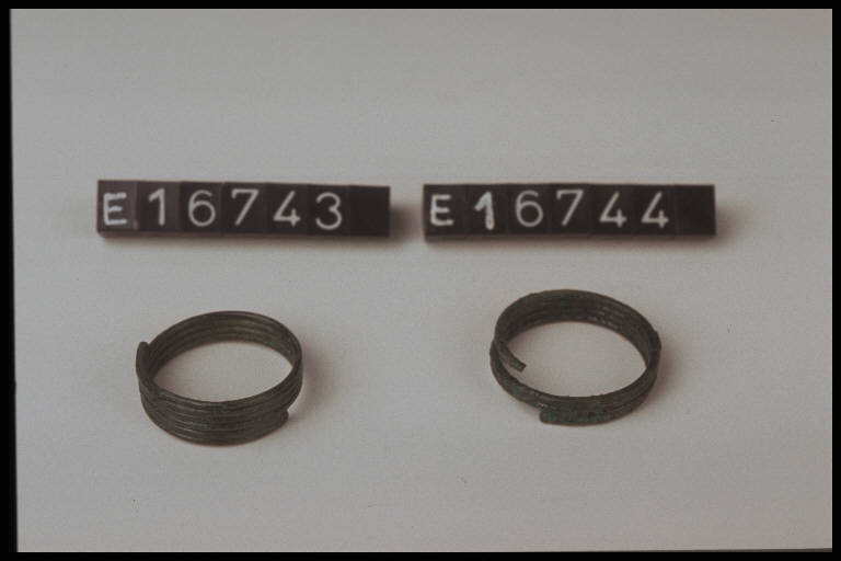 anello a spirale - cultura di Golasecca (secc. VIII/ V a.C.)