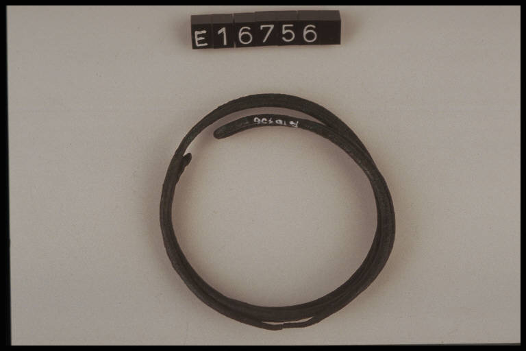 orecchino - cultura di Golasecca (secc. VIII/ V a.C.)