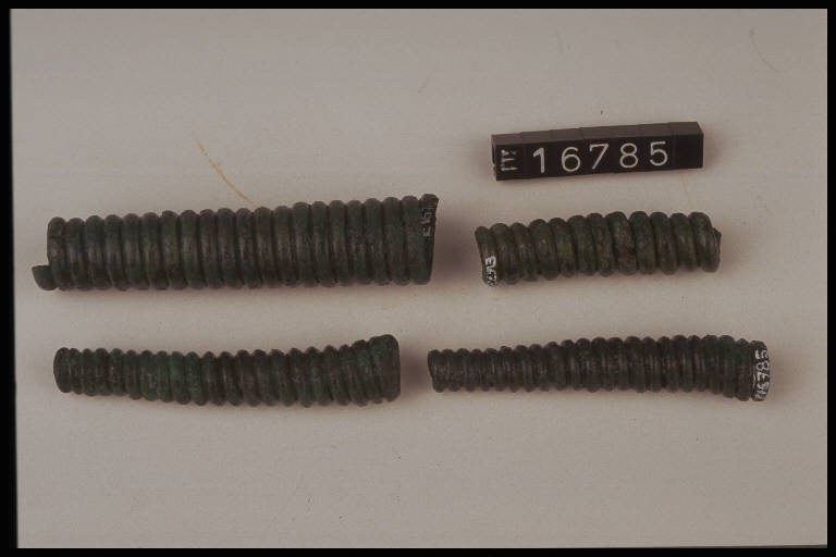 saltaleoni - cultura di Golasecca (secc. VII/ V a.C.)