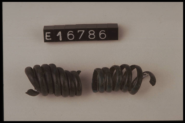 saltaleoni - cultura di Golasecca (secc. VII/ V a.C.)