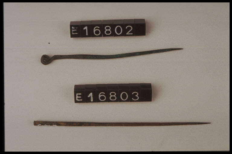 ardiglione - cultura di Golasecca (secc. VIII/ V a.C.)