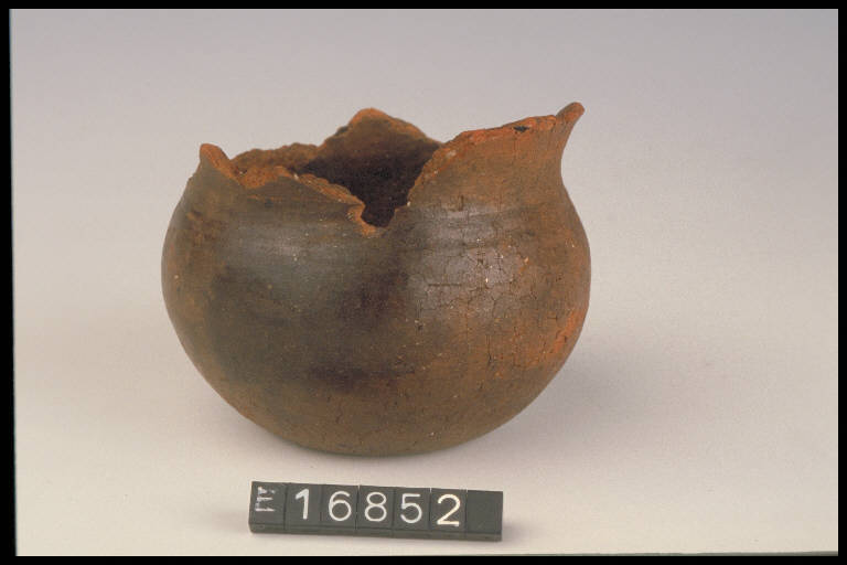 bicchiere globulare - cultura di Golasecca (sec. VII a.C.)