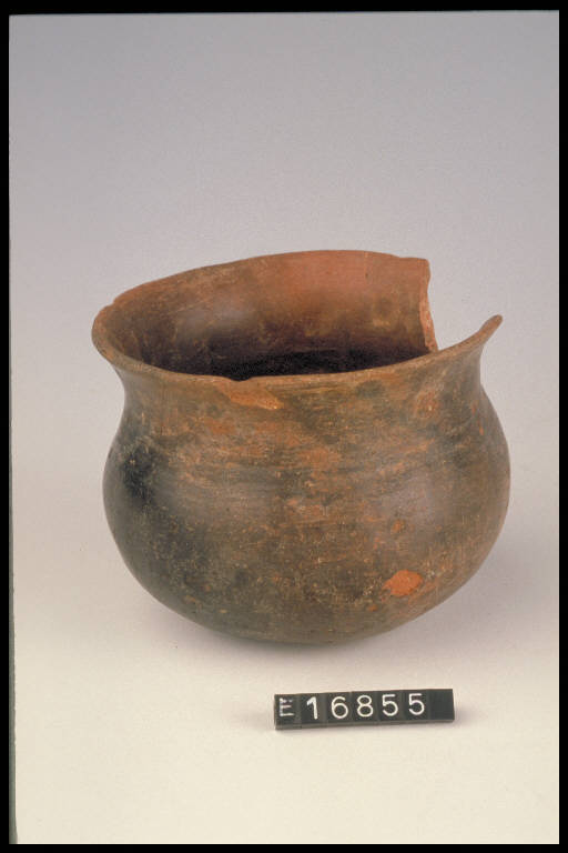 bicchiere globulare - cultura di Golasecca (sec. VII a.C.)