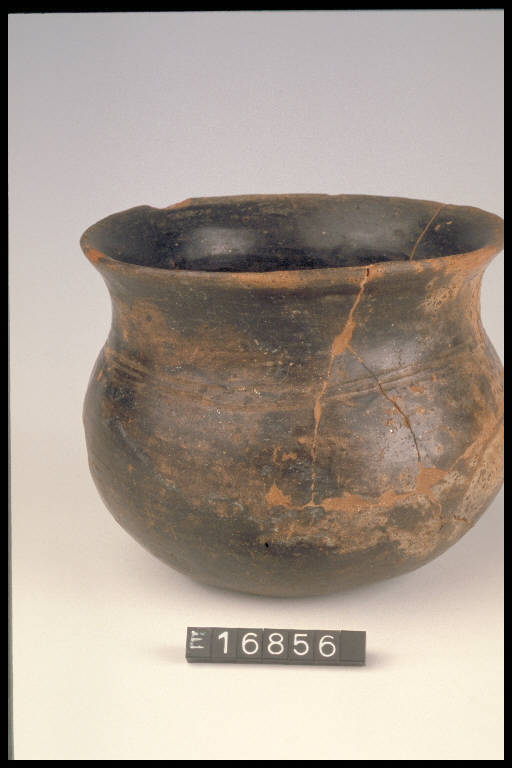 bicchiere globulare - cultura di Golasecca (sec. VII a.C.)