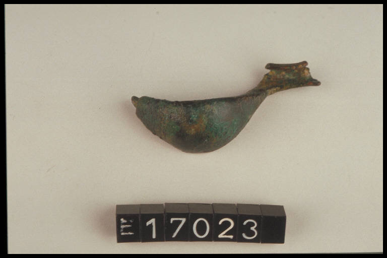 fibula a sanguisuga - cultura di Golasecca (fine/inizio secc. VI/ V a.C.)