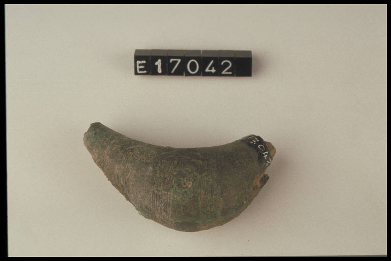 fibula a sanguisuga - cultura di Golasecca (secc. V/ IV a.C.)