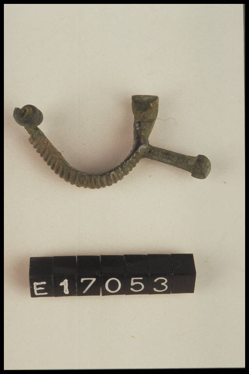 fibula ad arco pieno, DE MARINIS / tipo Civiglio - cultura di Golasecca (sec. V a.C.)