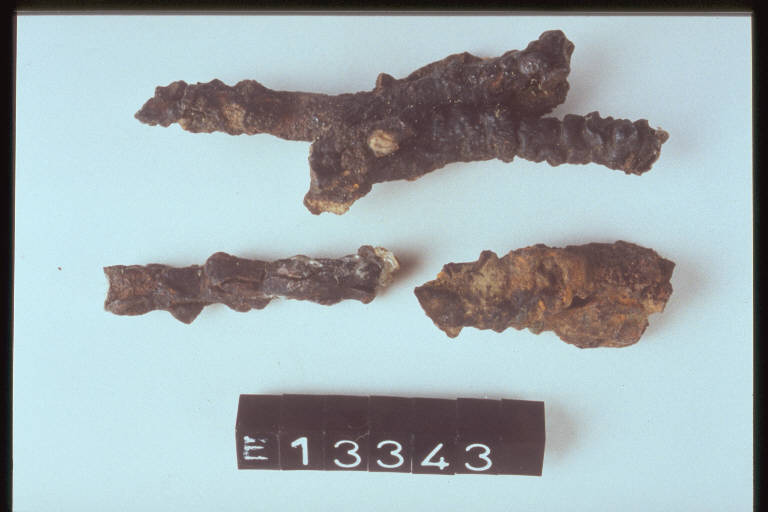 verghette - cultura di Golasecca (fine/inizio secc. VI/ V a.C.)