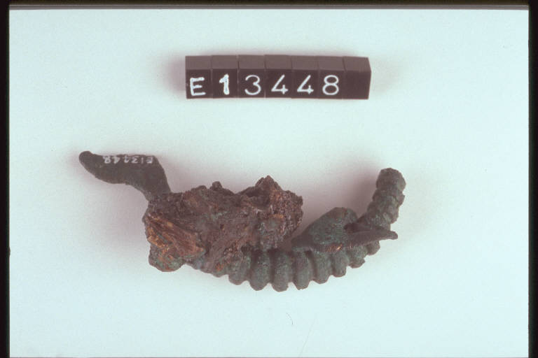 fibula a grandi coste - cultura di Golasecca (fine/inizio secc. VI/ V a.C.)