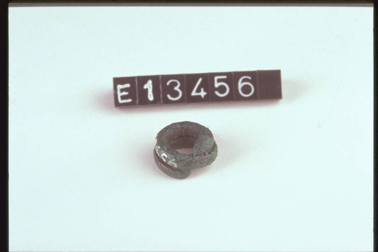 molla (di fibula) - cultura di Golasecca (fine/inizio secc. VI/ V a.C.)