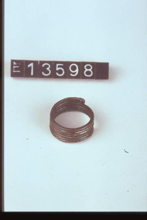 anello a spirale - cultura di Golasecca (fine/inizio secc. VI/ V a.C.)