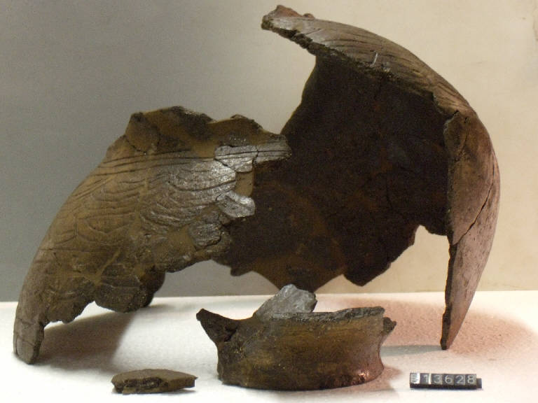 urna - cultura di Golasecca (fine/inizio secc. VI/ V a.C.)