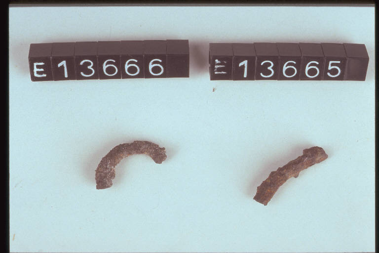 anellino - cultura di Golasecca (secc. VIII/ V a.C.)