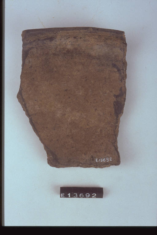 scodella (frammento di) - cultura di Golasecca (secc. VIII/ V a.C.)