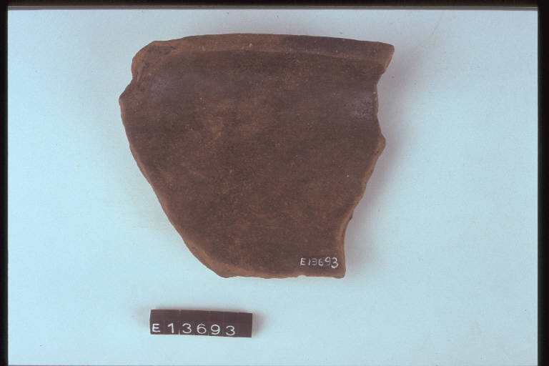 scodella (frammento di) - cultura di Golasecca (secc. VIII/ V a.C.)