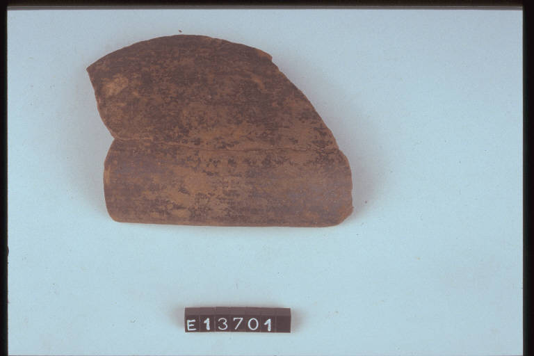 scodella (frammento di) - cultura di Golasecca (secc. VIII/ V a.C.)