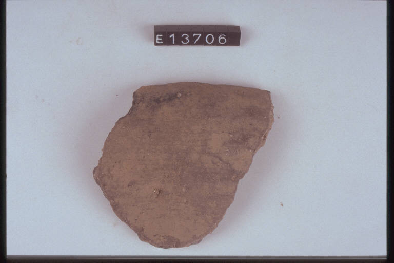 scodella (frammento di) - cultura di Golasecca (secc. VIII/ V a.C.)