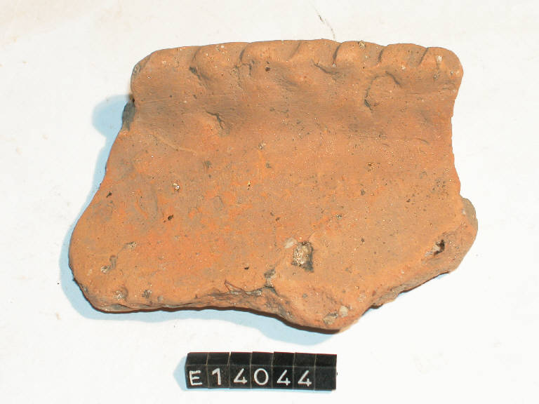 scodella - cultura di Golasecca (secc. V/ IV a.C.)