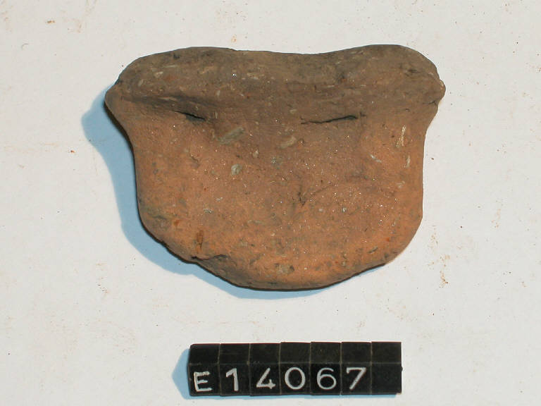 presa - cultura di Golasecca (secc. V/ IV a.C.)