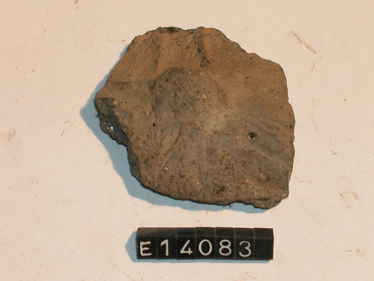 vaso - cultura di Golasecca (secc. V/ IV a.C.)